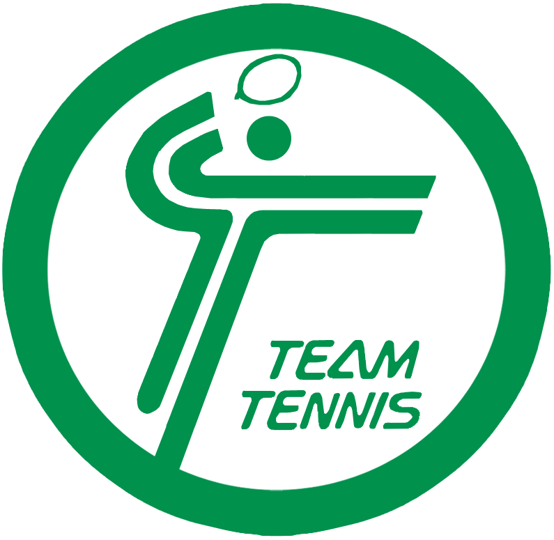 World TeamTennis 1981-1982 Primary Logo iron on transfers for clothing